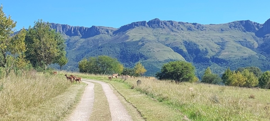 0 Bedroom Property for Sale in Katberg Eastern Cape